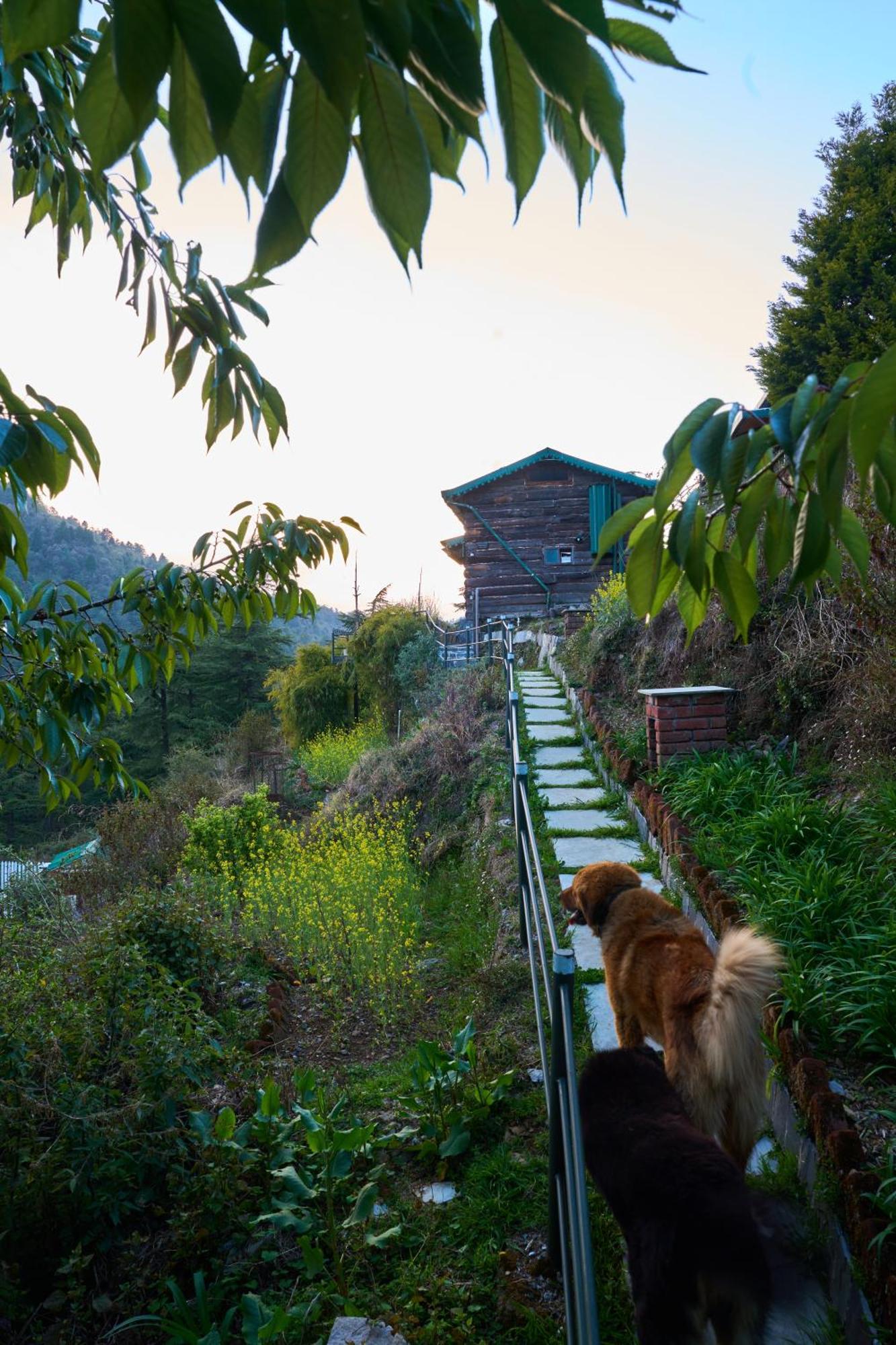 Seegreen Lodges Mussoorie Exterior photo